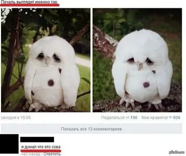 Выглядит именно так
