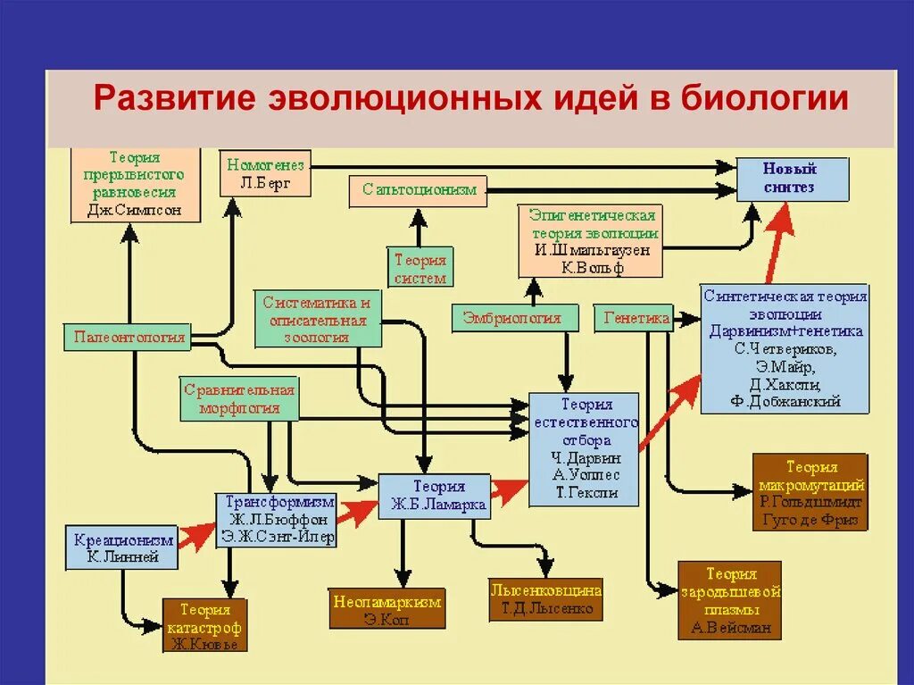 Значение эволюционных идей. Развитие эволюционных идей. Развитие эволюционных идей в биологии.