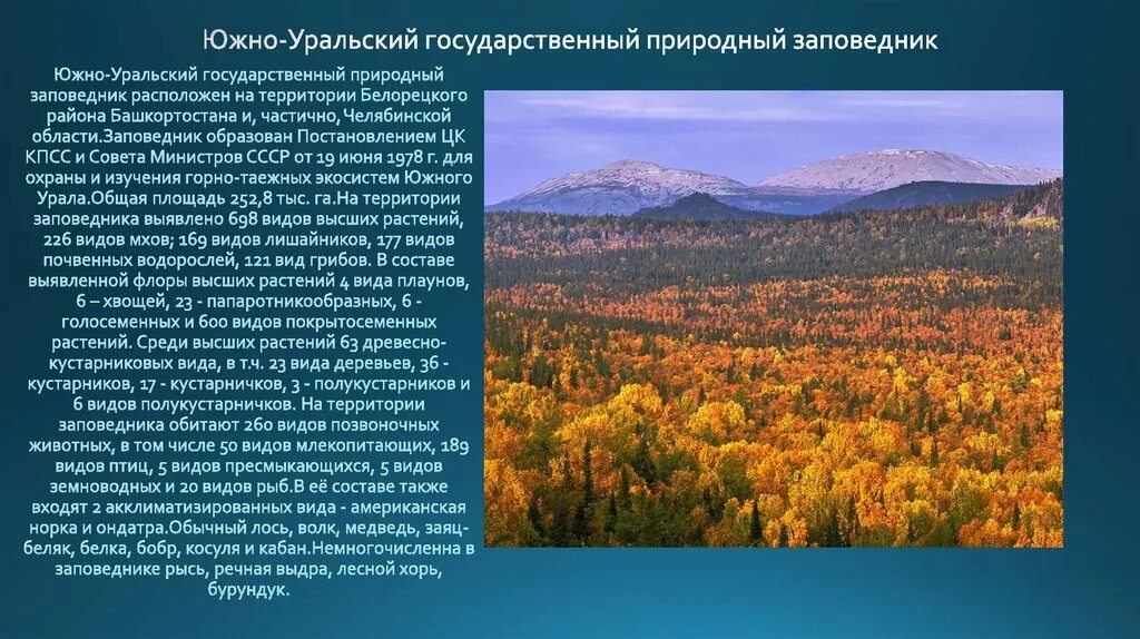 В какой природной зоне находится челябинская. Южно Уральский заповедник Башкортостана. Южно-Уральский заповедник Башкортостана животные. Заповедники Южного Урала. Южноуральские заповедники Урала.