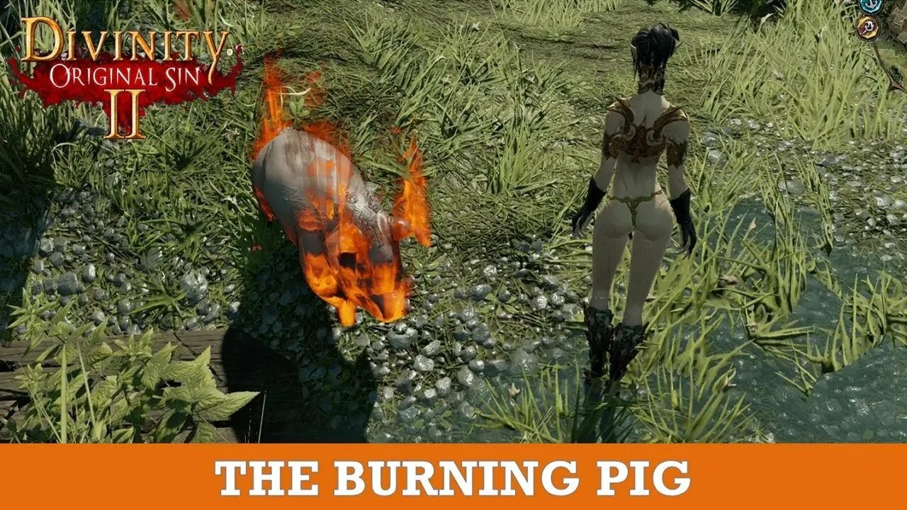 Divinity original sin 2 свинья. Divinity pig. дивинити 2 голубая луна.
