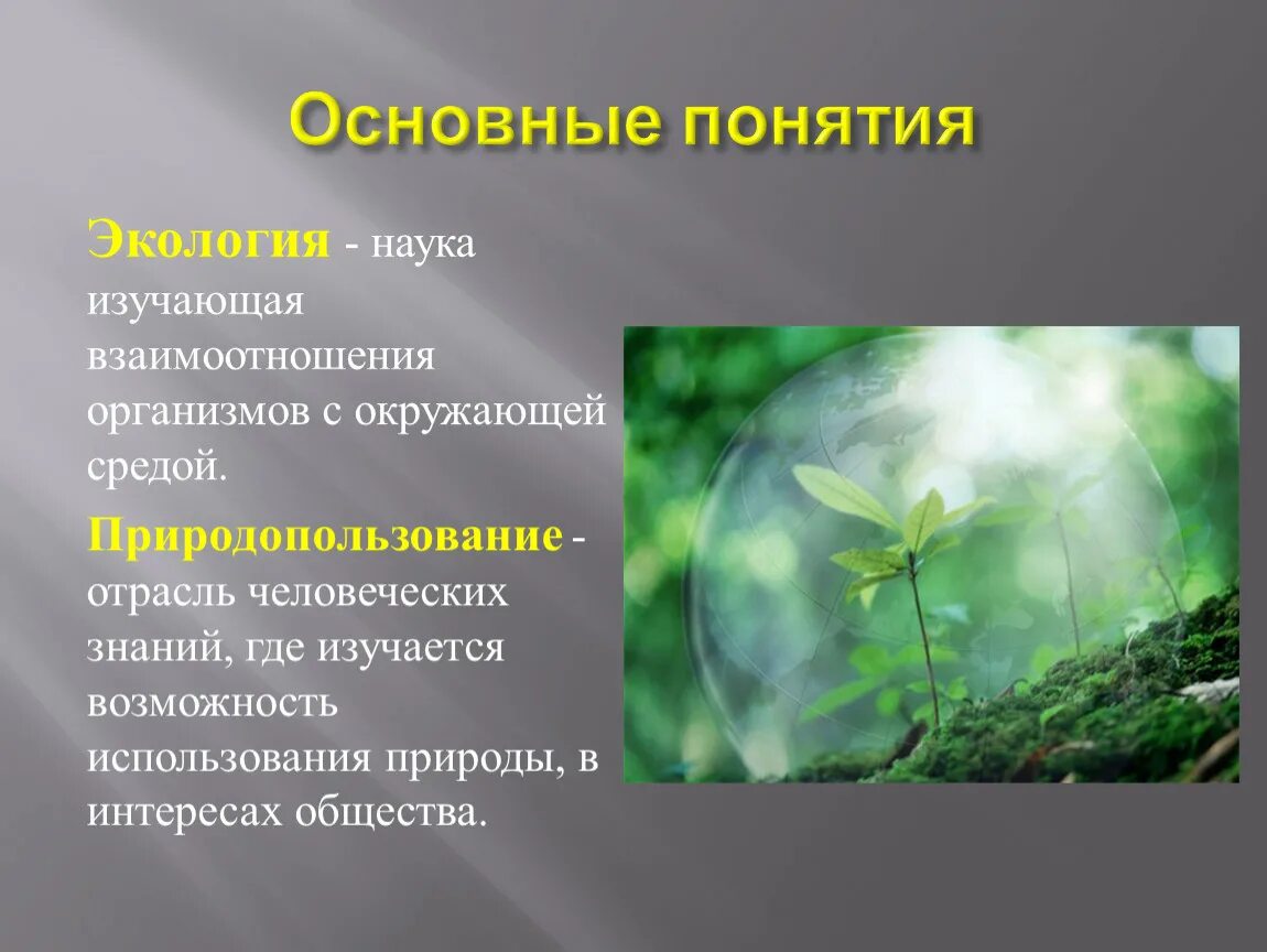 Значение экологии в жизни человека огромно так. Организм и окружающая среда. Основные понятия экологии. Понятие природа и окружающая среда. Взаимодействие организмов с окружающей.