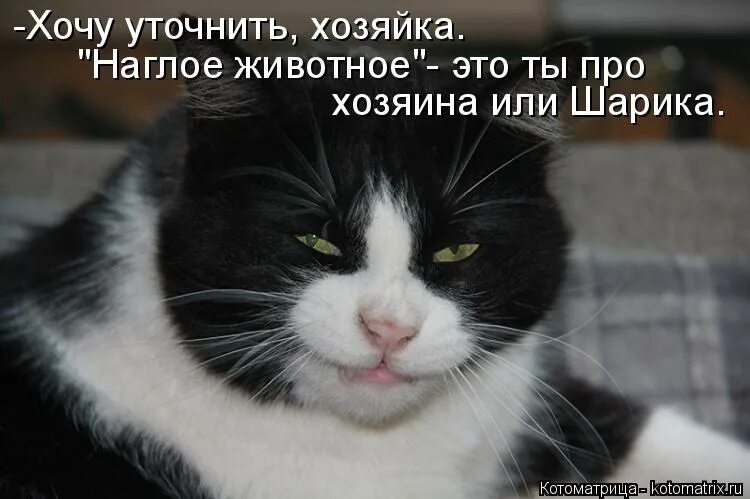 Хочу уточнить года. Хочу уточнить года. Gotta catch em all комикс. Хочу уточнить года. Хочу уточнить.