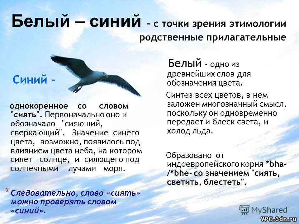 значение слова сини. значение слова сини. синий цвет в психологии. стих про синий цвет. значение слова сини.
