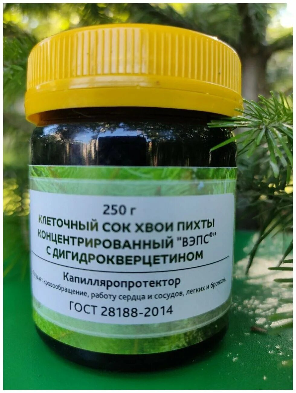 Клеточный сок хвои пихты концентрированный. Рукето клеточный сок пихты. Концентрированный сок пихты сибирской. Биоэффектив клеточный сок пихты сибирской 100 мл. Клеточный сок фото.