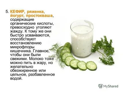 Когда лучше пить кефир для работы кишечника