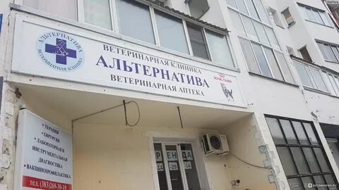 Альтернатива новосибирск