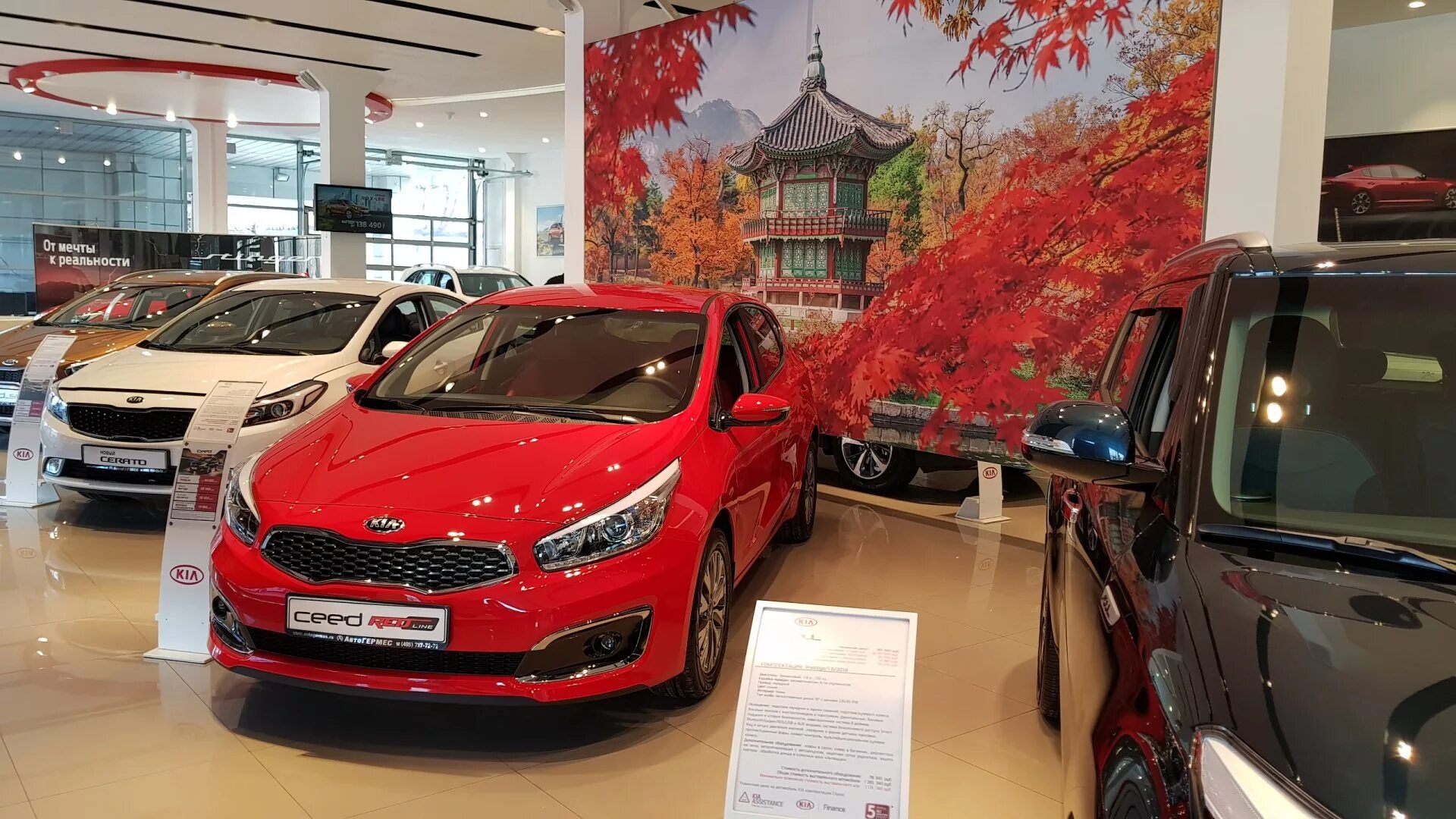 АВТОГЕРМЕС Киа. Kia Motors автомобили Kia. Киа АВТОГЕРМЕС Модельный ряд.