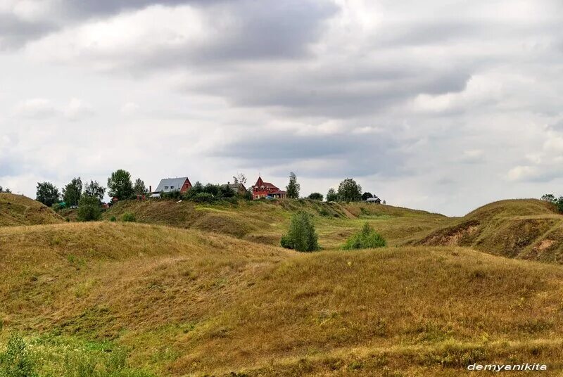 Монахини католички в церкви. Стих есенина ива. Плакучая ива зимой. Матушка иустина курск. Монашка в церкви.