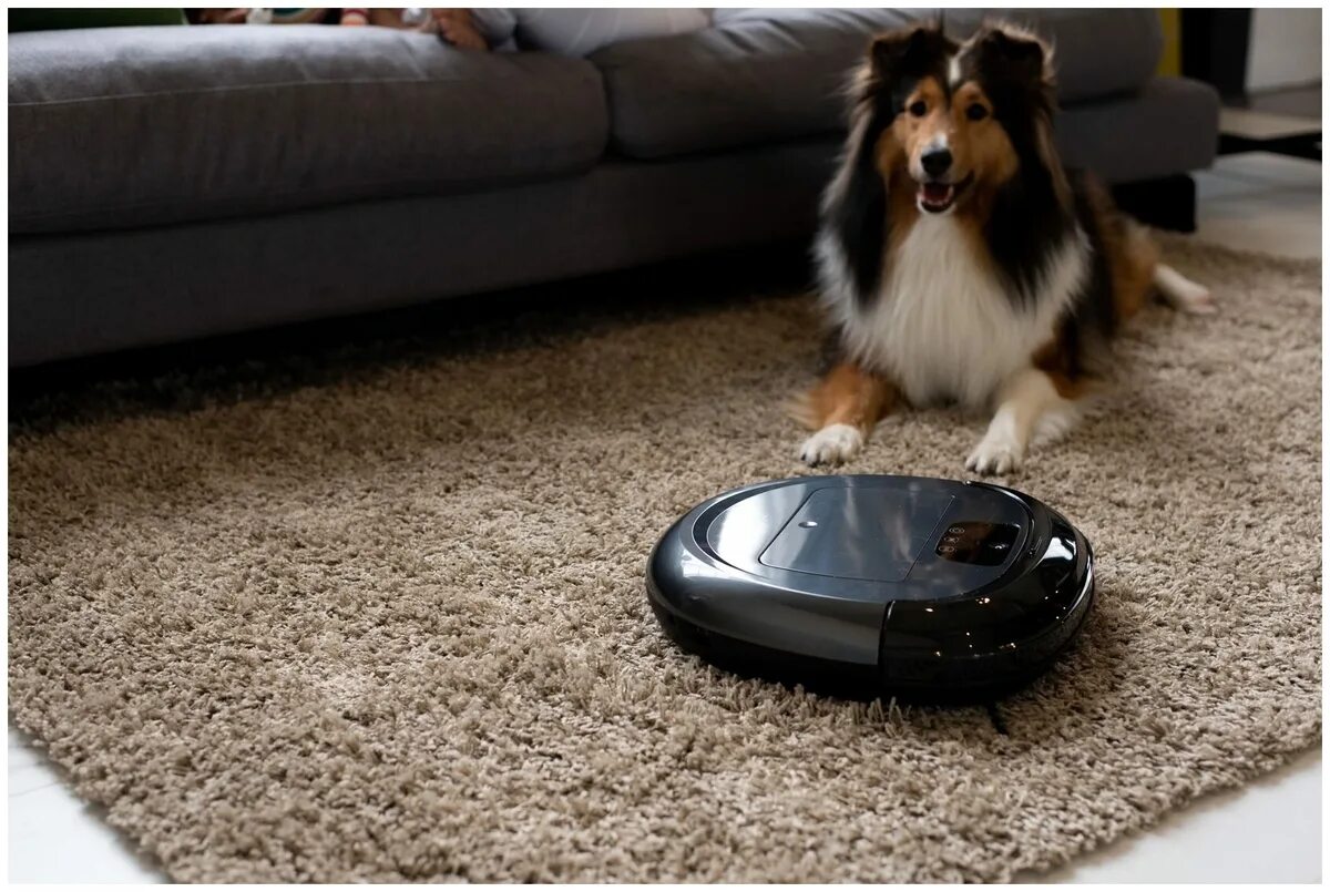 Робот пылесос для уборки шерсти животных. Робот пылесос vacuum cleaner. Робот-пылесос xiaomi с влажной уборкой шерсть животных. Робот пылесос и собака. Bissell робот пылесос.