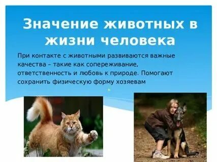 Каково значение поведения в жизни животных