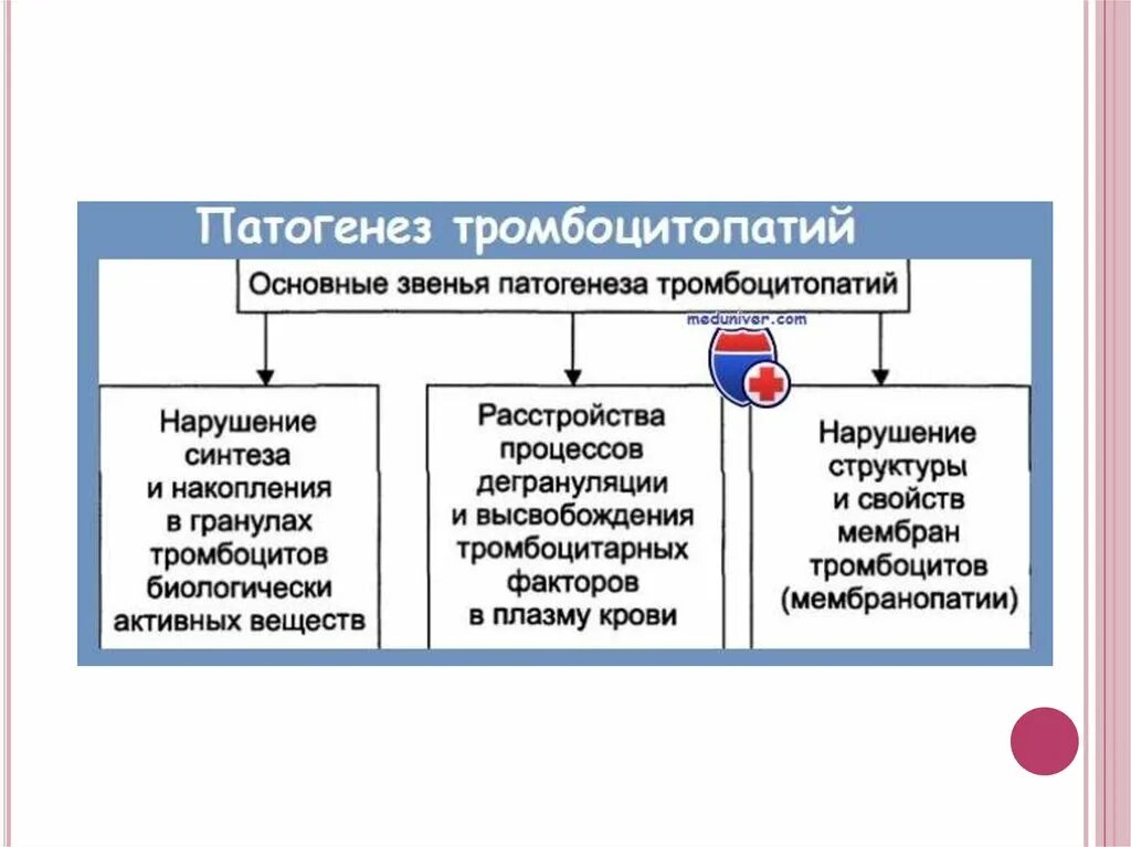 Патогенез тромбоцитопении. Патогенез тромбоцитопении патофизиология. механизмы развития кровоточивости при тромбоцитопениях. тромбоцитопатия у детей патогенез. тромбоцитопатии патогенез.