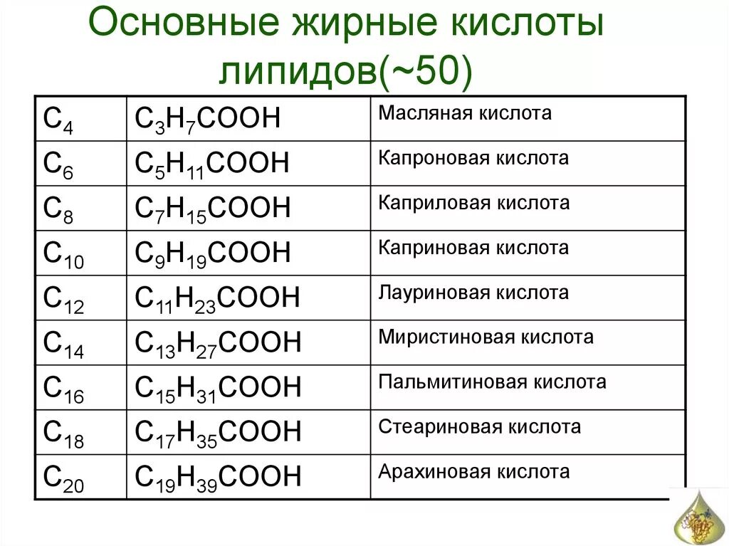 Общая формула жирных кислот. Основные ненасыщенные жирные кислоты таблица. Общая формула непредельных жирных кислот. Жирные кислоты формулы. Радикал жирной кислоты