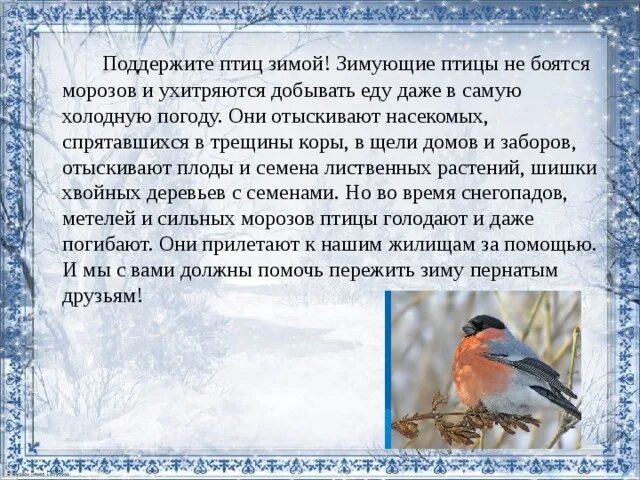 Сочинение пернатые гости. Птицы зимой рассказ. Рассказ о зимующих птицах. Сочинение зимующие птицы. Презентация на тему зимующие птицы.