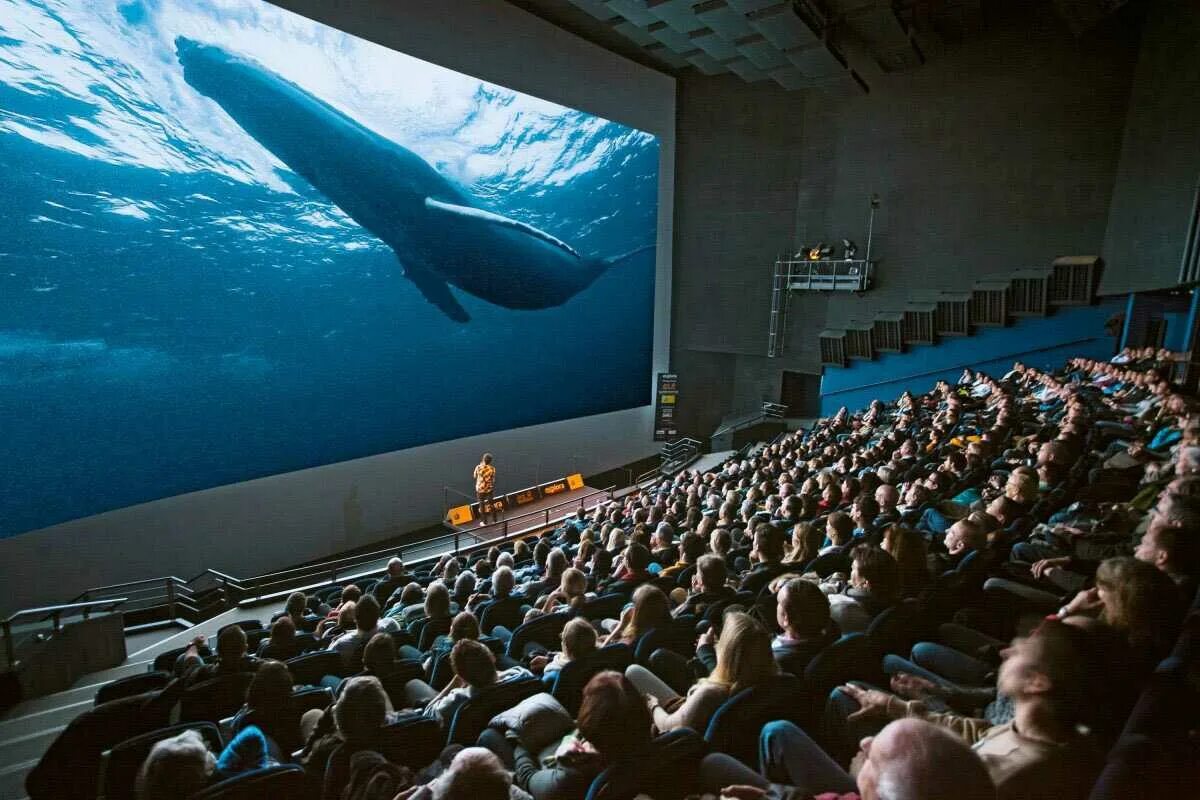 Аймакс 3л. Аймакс 3д в Москве. Что такое аймакс 3д в кинотеатре. Nescafe IMAX кинотеатр Москва.