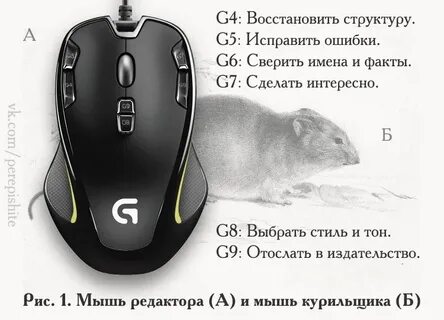 Ардор про мышка