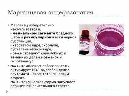 Токсическая энцефалопатия