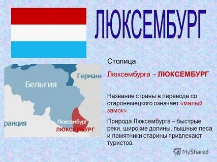 Определите форму правления бельгия