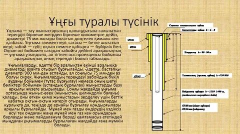 Беркованың порно ұрығы