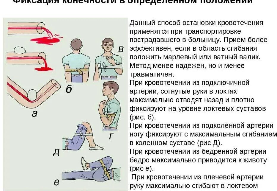 Зафиксировать положение. Положение при кровотечении. транспортировка при кровотечении. способы первой помощи при кровотечении. положение пострадавшего при кровотечении.