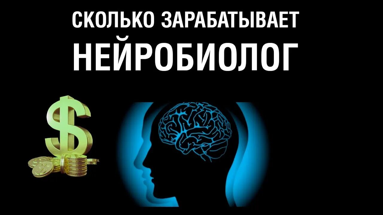 Дэвид иглмен мозг. Профессия нейробиолог. Молодость мозга. Ученые изучают мозг. Нейробиолог где учиться.