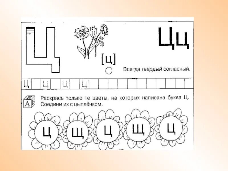 Обучение грамоте звук ц