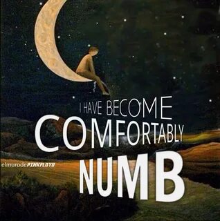 Pink floyd comfortably numb