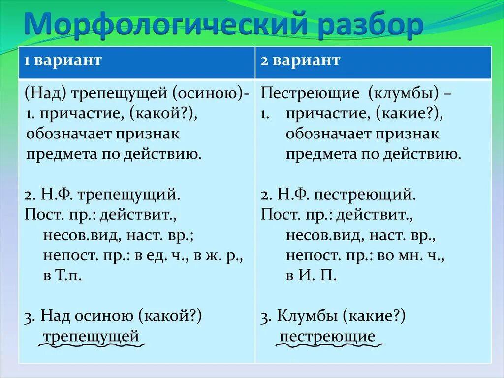 Морфологический разбор наречия 5 кл. Примеры разбора наречий 7 класс. Морфологический разбор наречия. Морфологический анализ наречий 6 класс. Примеры разбора наречий 7 класс.