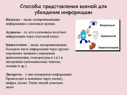Типы личности по восприятию