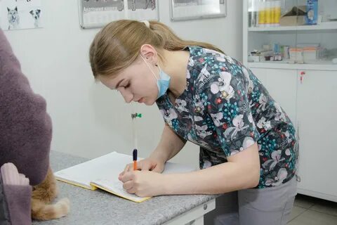 Ветклиника иркутск
