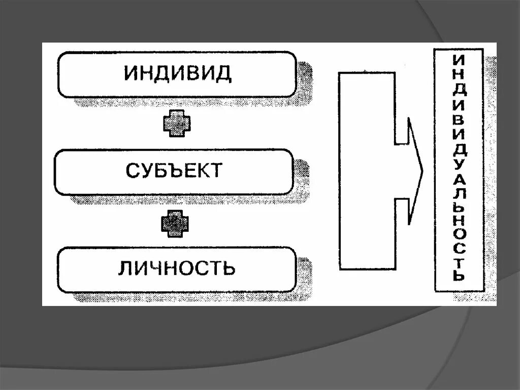 Личность является субъектом. Схема личность индивид индивидуальность человек. Структура понятия «индивид» (по б. г. Ананьеву). Индивид субъект личность индивидуальность. Индивид личность субъект индивидуальность схема.