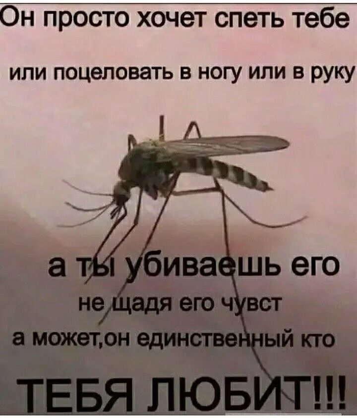 Уже искусали комары, а я не могу оторваться от её офигенного тела