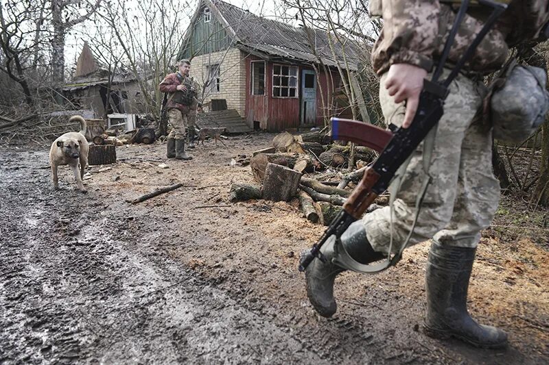 Украина сдалась или нет. Грабежи и мародёрство в Украине. Мародерство России в Украине.