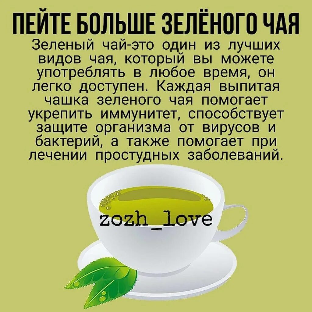 Черный или зеленый чай бодрит. Кофеин в зеленом чае. зеленый чай кофеи. кофеин в зеленом чае и кофе. пьет зеленый чай.