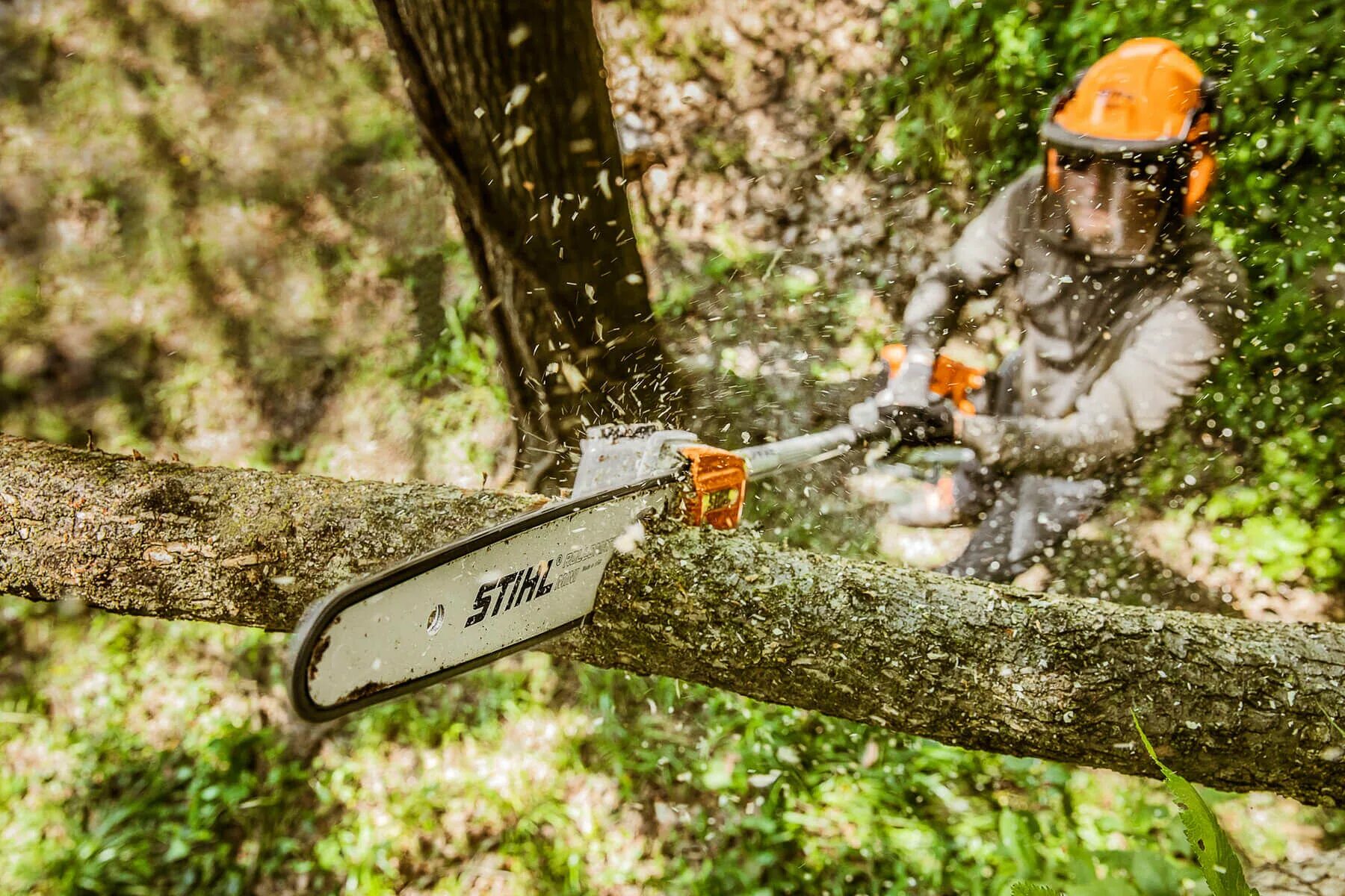 Спиливание деревьев. Кронирование деревьев. Арборист профессия. Спиливание деревьев. Услуга обрезки деревьев.