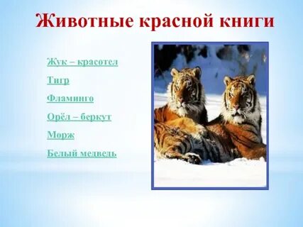 Охрана животных животные красной книги