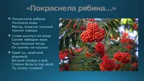 Минус песни ягода рябина