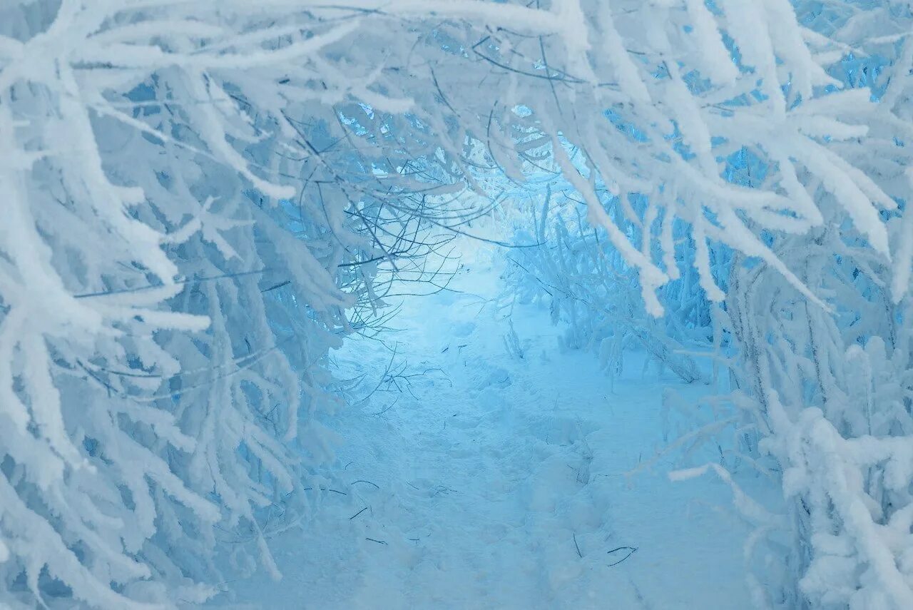 Snow core