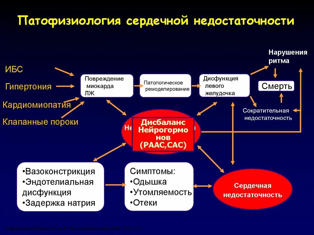 Формы недостаточности кровообращения. Патофизиология развития сердечной недостаточности. Патогенез острой сердечной недостаточности патофизиология. Патогенез сердечной недостаточности патофизиология. Механизм развития острой сердечной недостаточности.