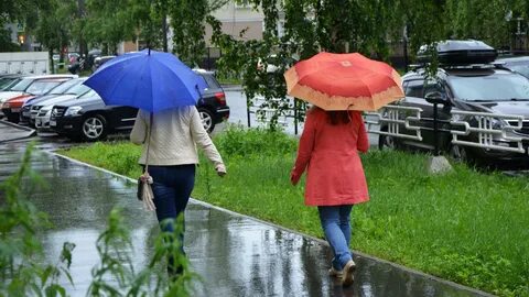 Целую неделю дождь
