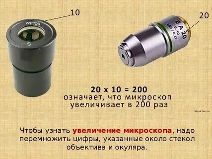 Какое общее увеличение дает