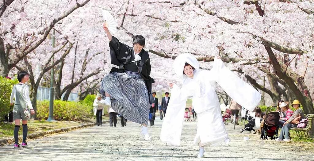 Свадебные церемонии Японии традиционная. Японские синтоистские свадьбы. Свадебная церемония в Японии традиции. Невеста в Японии. Японский жених