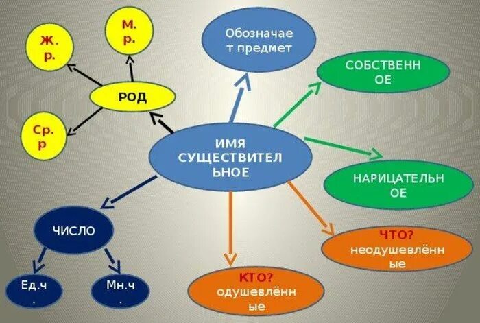 Проект на тему существительное. Кластер существительное. Кластер имя существительное. Фластер имени существительного. Кластер имена существительные.