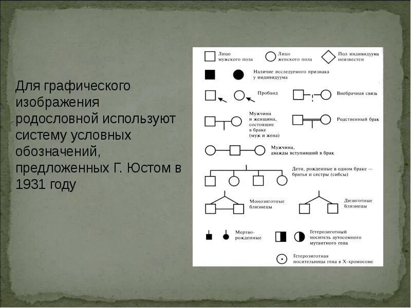 Условные обозначения в генеалогическом древе