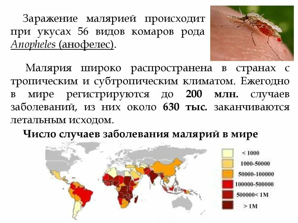 Почему для борьбы с малярией. Карта распространения малярии в мире 2018. Малярийный комар карта распространения. Распространение малярии в мире. Малярия в России распространенность.