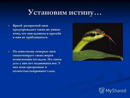 Змей 4 класс
