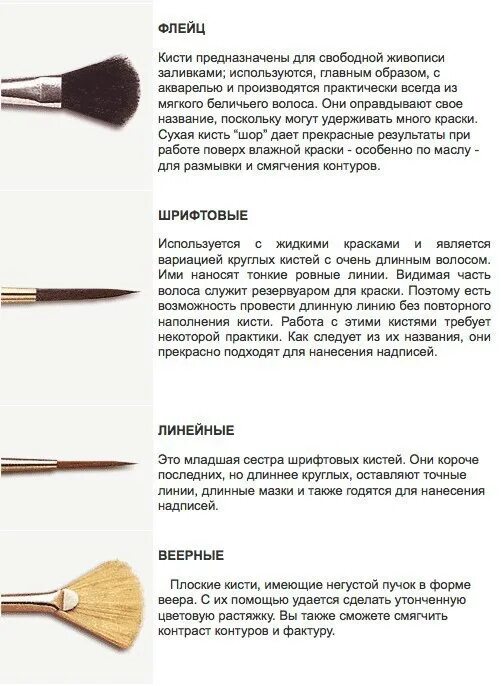 Кисти характеристика виды. Размеры кистей щетина. Виды художественных кистей. Название кисточек для рисования. Кисть флейцевая 5м для рисования изо.