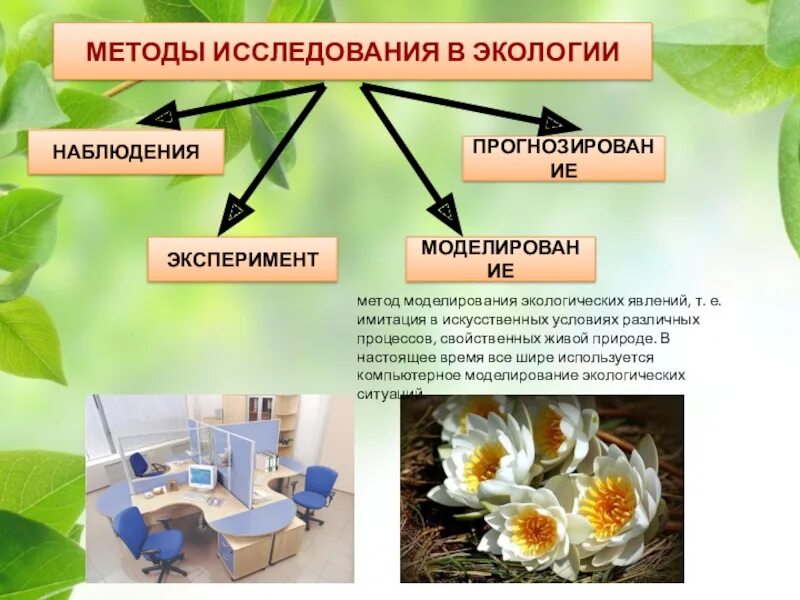 Подходы в экологии. Методы экологии. Методы изучения экологии. Методы экологических исследований. Способы исследований в экологии.