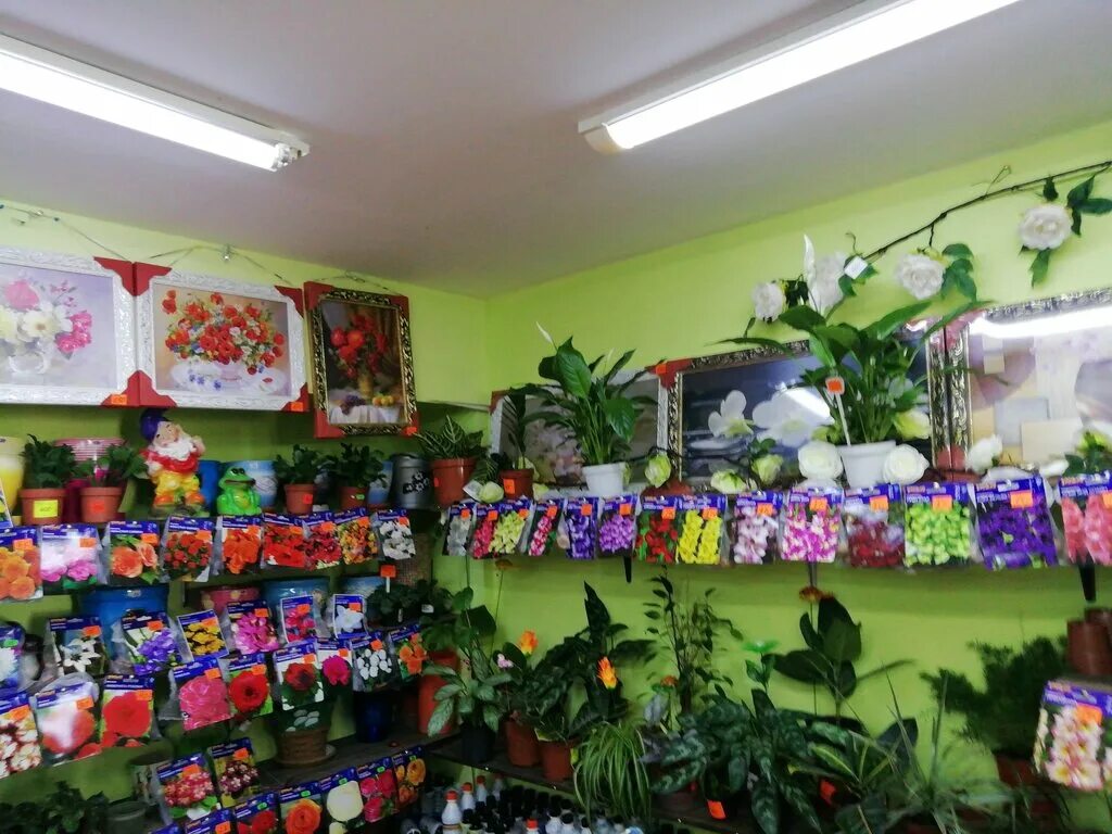 Первый цветочный магазин. Магазин цветок, качканар. Цветочный свердлова. Балашиха свердлова 24 магазины. Цветочный свердлова.