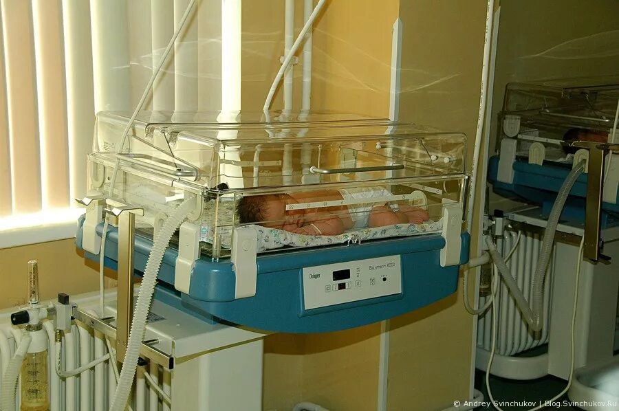 Перинатальный центр хабаровск родильное отделение. Сайт перинатальный центр хабаровск. Перинатальный центр хабаровск официальный сайт. Сайт перинатальный центр хабаровск. Перинатальный центр рб 1.