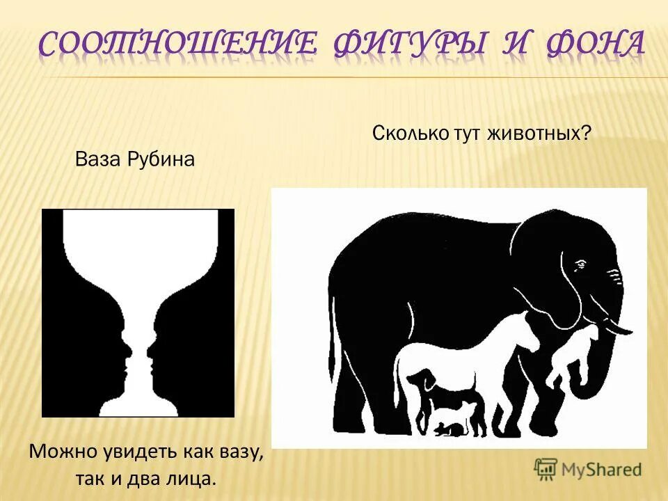 Сколько животных. Сколько здесь животных. Сколько живетный на картинке. Сколько животных ты видишь на картинке. Сколько животный на картинке.